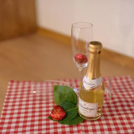 Lejlighed Mayrhofer -